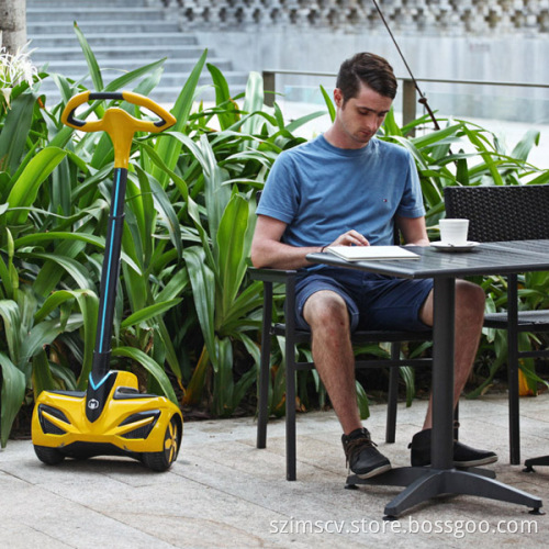 The Small Smart 2-Wheel Vehicle (INMOTION R1)
